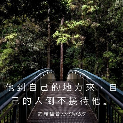 Picture 03 - 約 翰 福 音 1:11 CUVT - 他 到 自 己 的 地 方 來 ， 自 己 的 - Bible Verse Picture