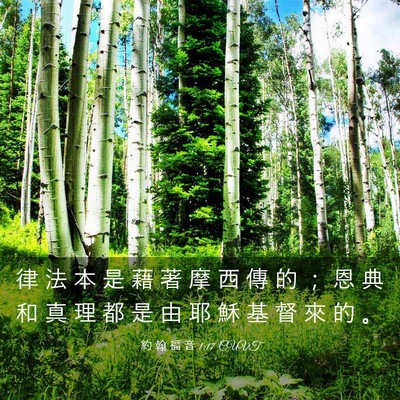 Picture 03 - 約 翰 福 音 1:17 CUVT - 律 法 本 是 藉 著 摩 西 傳 的 ； 恩 - Bible Verse Picture