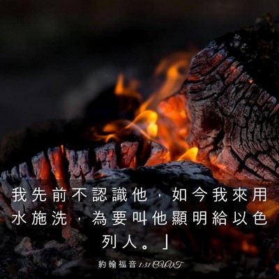 Picture 03 - 約 翰 福 音 1:31 CUVT - 我 先 前 不 認 識 他 ， 如 今 我 來 - Bible Verse Picture
