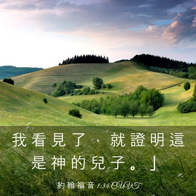 Picture 03 - 約 翰 福 音 1:34 CUVT - 我 看 見 了 ， 就 證 明 這 是 神 的 - Bible Verse Picture