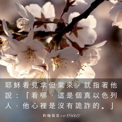 Picture 03 - 約 翰 福 音 1:47 CUVT - 耶 穌 看 見 拿 但 業 來 ， 就 指 著 - Bible Verse Picture