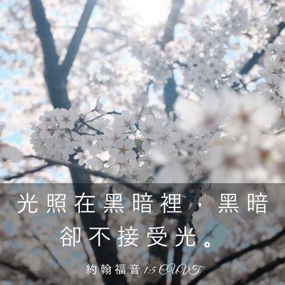 Picture 03 - 約 翰 福 音 1:5 CUVT - 光 照 在 黑 暗 裡 ， 黑 暗 卻 不 接 - Bible Verse Picture
