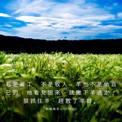 Picture 03 - 約 翰 福 音 10:12 CUVT - 若 是 雇 工 ， 不 是 牧 人 ， 羊 也 - Bible Verse Picture