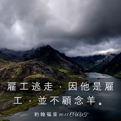 Picture 03 - 約 翰 福 音 10:13 CUVT - 雇 工 逃 走 ， 因 他 是 雇 工 ， 並 - Bible Verse Picture