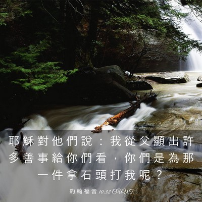 Picture 03 - 約 翰 福 音 10:32 CUVT - 耶 穌 對 他 們 說 ： 我 從 父 顯 出 - Bible Verse Picture
