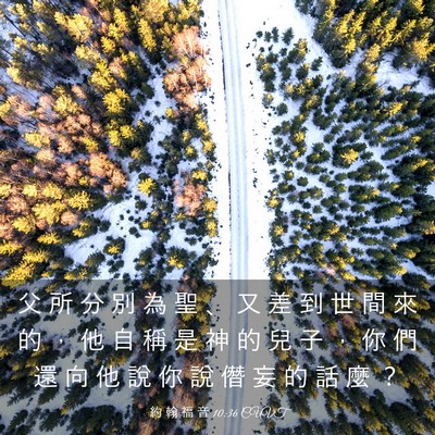 Picture 03 - 約 翰 福 音 10:36 CUVT - 父 所 分 別 為 聖 、 又 差 到 世 間 - Bible Verse Picture