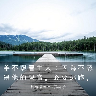 Picture 03 - 約 翰 福 音 10:5 CUVT - 羊 不 跟 著 生 人 ； 因 為 不 認 得 - Bible Verse Picture