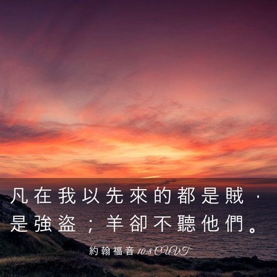 Picture 03 - 約 翰 福 音 10:8 CUVT - 凡 在 我 以 先 來 的 都 是 賊 ， 是 - Bible Verse Picture