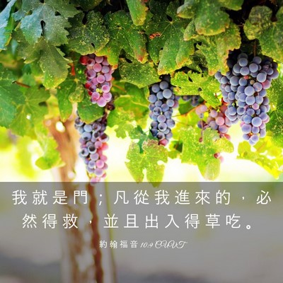 Picture 03 - 約 翰 福 音 10:9 CUVT - 我 就 是 門 ； 凡 從 我 進 來 的 ， - Bible Verse Picture