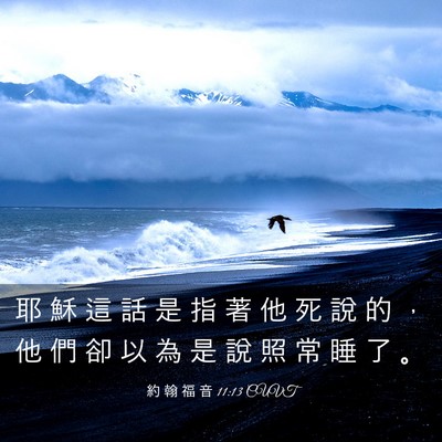 Picture 03 - 約 翰 福 音 11:13 CUVT - 耶 穌 這 話 是 指 著 他 死 說 的 ， - Bible Verse Picture