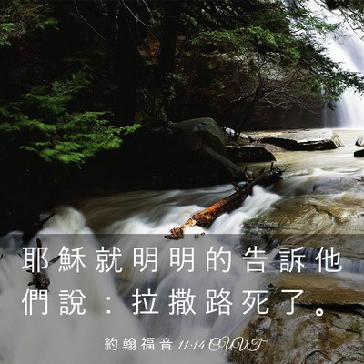 Picture 03 - 約 翰 福 音 11:14 CUVT - 耶 穌 就 明 明 的 告 訴 他 們 說 ： - Bible Verse Picture