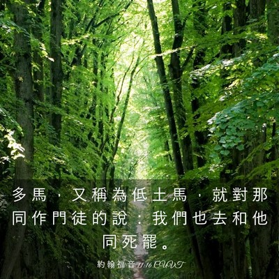 Picture 03 - 約 翰 福 音 11:16 CUVT - 多 馬 ， 又 稱 為 低 土 馬 ， 就 對 - Bible Verse Picture