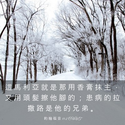 Picture 03 - 約 翰 福 音 11:2 CUVT - 這 馬 利 亞 就 是 那 用 香 膏 抹 主 - Bible Verse Picture