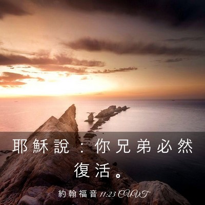 Picture 03 - 約 翰 福 音 11:23 CUVT - 耶 穌 說 ： 你 兄 弟 必 然 復 活 - Bible Verse Picture