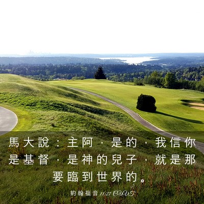 Picture 03 - 約 翰 福 音 11:27 CUVT - 馬 大 說 ： 主 阿 ， 是 的 ， 我 信 - Bible Verse Picture