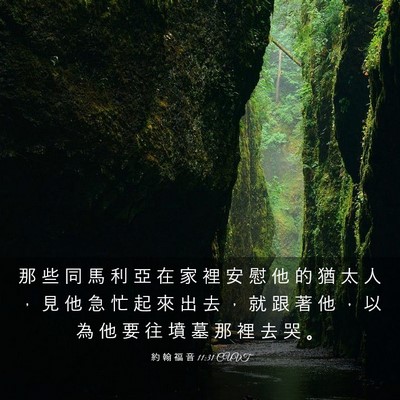 Picture 03 - 約 翰 福 音 11:31 CUVT - 那 些 同 馬 利 亞 在 家 裡 安 慰 他 - Bible Verse Picture