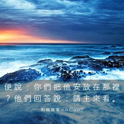 Picture 03 - 約 翰 福 音 11:34 CUVT - 便 說 ： 你 們 把 他 安 放 在 那 裡 - Bible Verse Picture