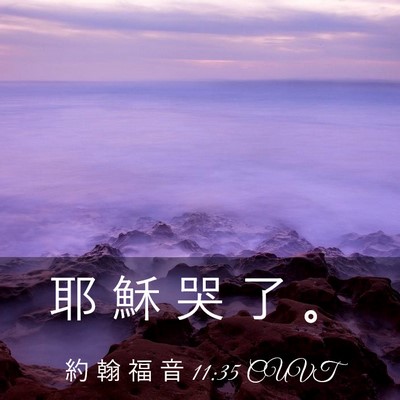Picture 03 - 約 翰 福 音 11:35 CUVT - 耶 穌 哭 了 - Bible Verse Picture