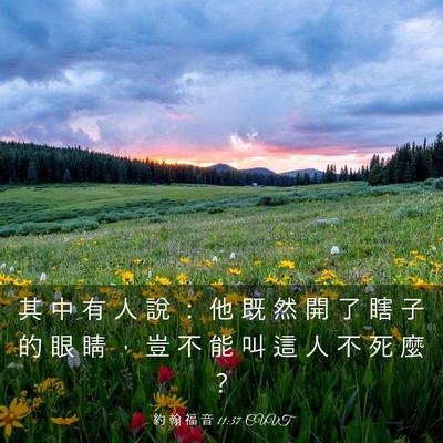 Picture 03 - 約 翰 福 音 11:37 CUVT - 其 中 有 人 說 ： 他 既 然 開 了 瞎 - Bible Verse Picture