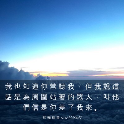 Picture 03 - 約 翰 福 音 11:42 CUVT - 我 也 知 道 你 常 聽 我 ， 但 我 說 - Bible Verse Picture