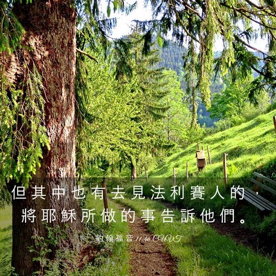 Picture 03 - 約 翰 福 音 11:46 CUVT - 但 其 中 也 有 去 見 法 利 賽 人 的 - Bible Verse Picture