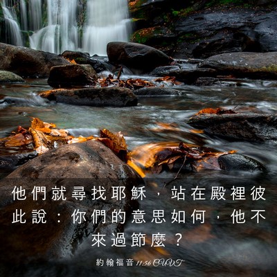 Picture 03 - 約 翰 福 音 11:56 CUVT - 他 們 就 尋 找 耶 穌 ， 站 在 殿 裡 - Bible Verse Picture