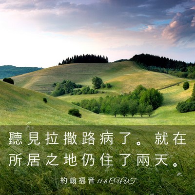 Picture 03 - 約 翰 福 音 11:6 CUVT - 聽 見 拉 撒 路 病 了 。 就 在 所 居 - Bible Verse Picture