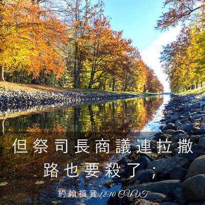 Picture 03 - 約 翰 福 音 12:10 CUVT - 但 祭 司 長 商 議 連 拉 撒 路 也 要 - Bible Verse Picture