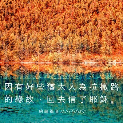 Picture 03 - 約 翰 福 音 12:11 CUVT - 因 有 好 些 猶 太 人 為 拉 撒 路 的 - Bible Verse Picture