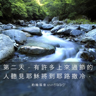 Picture 03 - 約 翰 福 音 12:12 CUVT - 第 二 天 ， 有 許 多 上 來 過 節 的 - Bible Verse Picture