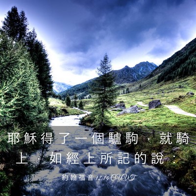 Picture 03 - 約 翰 福 音 12:14 CUVT - 耶 穌 得 了 一 個 驢 駒 ， 就 騎 上 - Bible Verse Picture