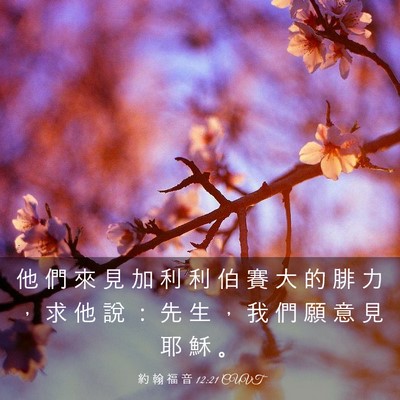 Picture 03 - 約 翰 福 音 12:21 CUVT - 他 們 來 見 加 利 利 伯 賽 大 的 腓 - Bible Verse Picture