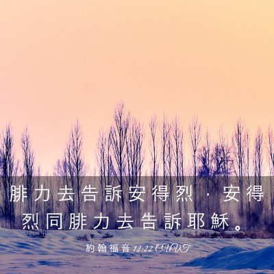 Picture 03 - 約 翰 福 音 12:22 CUVT - 腓 力 去 告 訴 安 得 烈 ， 安 得 烈 - Bible Verse Picture