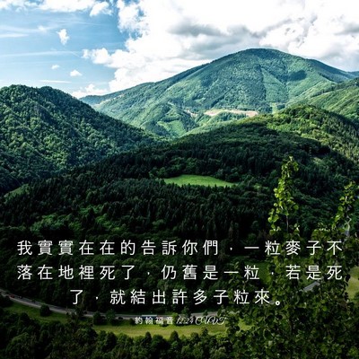 Picture 03 - 約 翰 福 音 12:24 CUVT - 我 實 實 在 在 的 告 訴 你 們 ， 一 - Bible Verse Picture