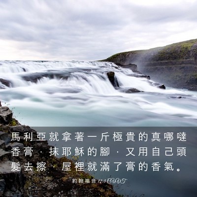 Picture 03 - 約 翰 福 音 12:3 CUVT - 馬 利 亞 就 拿 著 一 斤 極 貴 的 真 - Bible Verse Picture