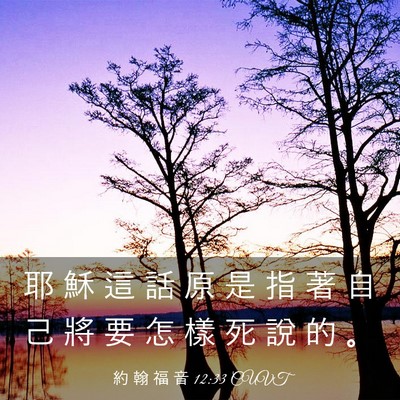Picture 03 - 約 翰 福 音 12:33 CUVT - 耶 穌 這 話 原 是 指 著 自 己 將 要 - Bible Verse Picture