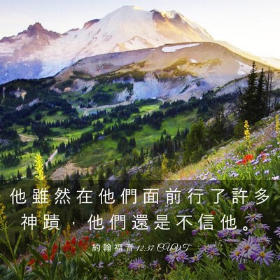 Picture 03 - 約 翰 福 音 12:37 CUVT - 他 雖 然 在 他 們 面 前 行 了 許 多 - Bible Verse Picture