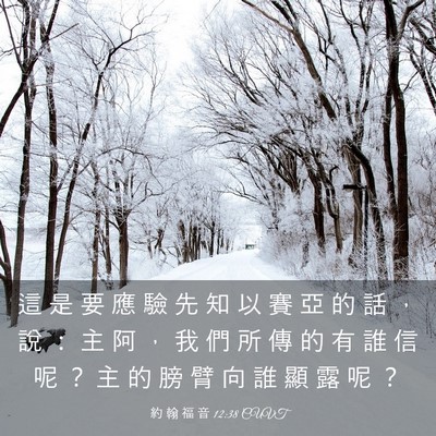 Picture 03 - 約 翰 福 音 12:38 CUVT - 這 是 要 應 驗 先 知 以 賽 亞 的 話 - Bible Verse Picture