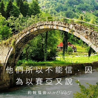 Picture 03 - 約 翰 福 音 12:39 CUVT - 他 們 所 以 不 能 信 ， 因 為 以 賽 - Bible Verse Picture