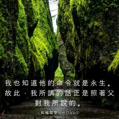 Picture 03 - 約 翰 福 音 12:50 CUVT - 我 也 知 道 他 的 命 令 就 是 永 生 - Bible Verse Picture