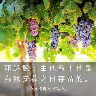 Picture 03 - 約 翰 福 音 12:7 CUVT - 耶 穌 說 ： 由 他 罷 ！ 他 是 為 我 - Bible Verse Picture
