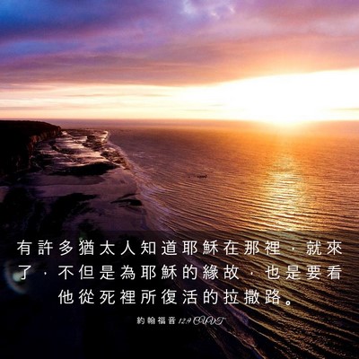 Picture 03 - 約 翰 福 音 12:9 CUVT - 有 許 多 猶 太 人 知 道 耶 穌 在 那 - Bible Verse Picture
