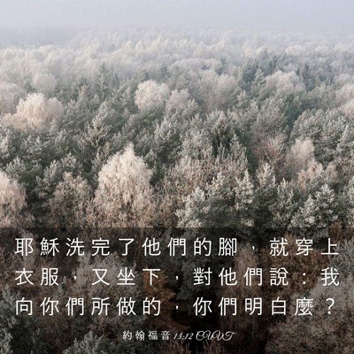 Picture 03 - 約 翰 福 音 13:12 CUVT - 耶 穌 洗 完 了 他 們 的 腳 ， 就 穿 - Bible Verse Picture