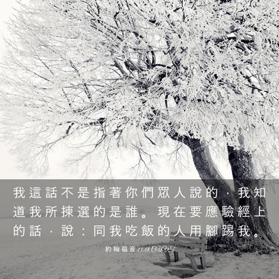 Picture 03 - 約 翰 福 音 13:18 CUVT - 我 這 話 不 是 指 著 你 們 眾 人 說 - Bible Verse Picture