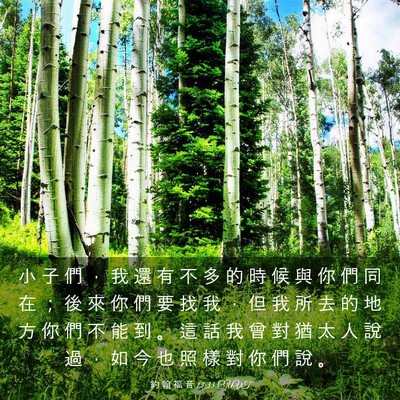 Picture 03 - 約 翰 福 音 13:33 CUVT - 小 子 們 ， 我 還 有 不 多 的 時 候 - Bible Verse Picture