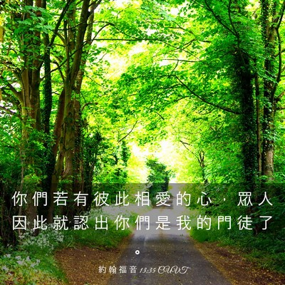 Picture 03 - 約 翰 福 音 13:35 CUVT - 你 們 若 有 彼 此 相 愛 的 心 ， 眾 - Bible Verse Picture
