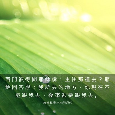 Picture 03 - 約 翰 福 音 13:36 CUVT - 西 門 彼 得 問 耶 穌 說 ： 主 往 那 - Bible Verse Picture