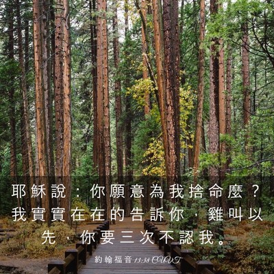 Picture 03 - 約 翰 福 音 13:38 CUVT - 耶 穌 說 ： 你 願 意 為 我 捨 命 麼 - Bible Verse Picture