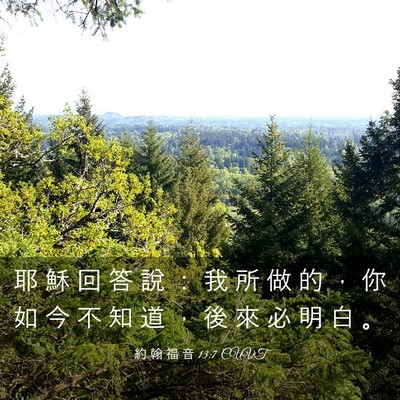 Picture 03 - 約 翰 福 音 13:7 CUVT - 耶 穌 回 答 說 ： 我 所 做 的 ， 你 - Bible Verse Picture