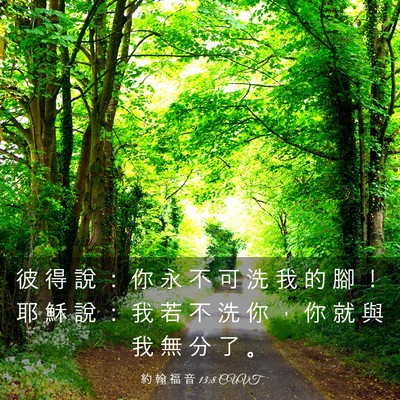 Picture 03 - 約 翰 福 音 13:8 CUVT - 彼 得 說 ： 你 永 不 可 洗 我 的 腳 - Bible Verse Picture